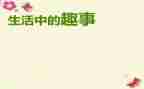 暑假生活趣事作文5篇