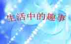 中秋趣事的作文300字8篇