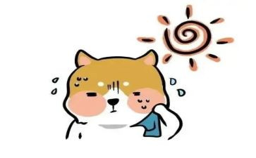 热小班教案模板5篇