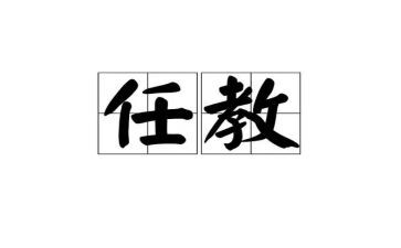 新任教师工作总结7篇