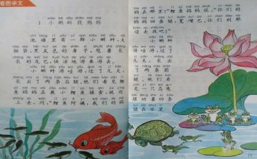 教师个人教育总结8篇