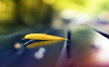 我精彩的人生作文精选6篇