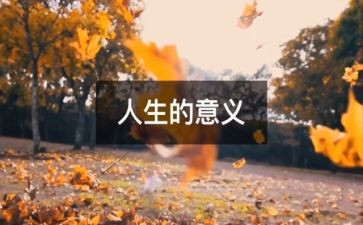 个人生活工作总结范文7篇