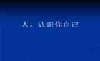 幼儿认识车教案最新5篇
