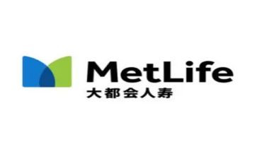 中国人寿工作总结7篇
