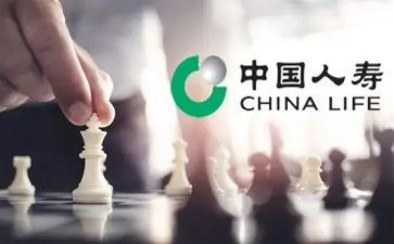 中国人寿综合工作总结6篇