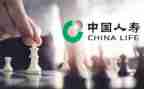 中国人寿综合工作总结6篇