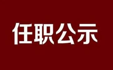 任职前述职报告模板6篇