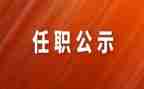 任职前的个人总结5篇