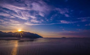 日出优秀作文参考7篇