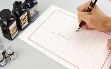 写日记作文300字优质8篇