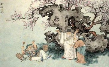 《儒林外史》读后感作文8篇
