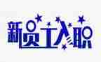 新入职员工年终总结6篇