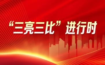 三亮三比三心得体会8篇