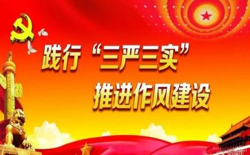 三严三实述职报告6篇