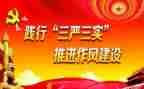 三严三实述职报告6篇