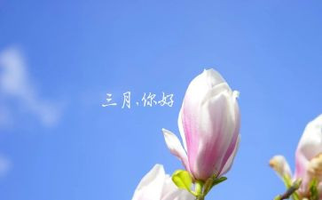 三月份的工作总结8篇