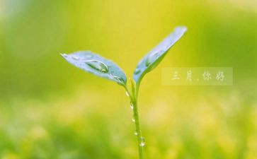 三月份工作总结推荐8篇