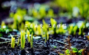 三月底升旗演讲稿5篇