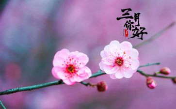 班主任三月工作计划6篇