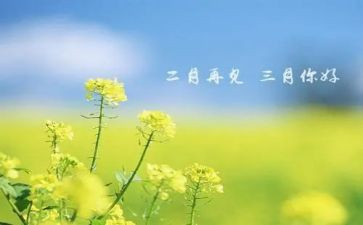 三月份个人总结7篇