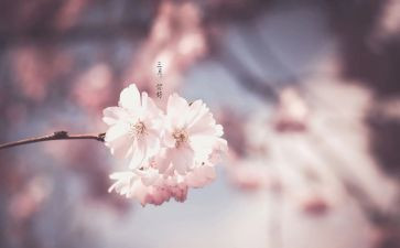 三月的工作总结优质5篇