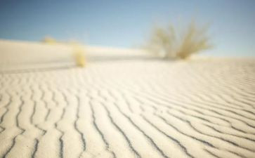 沙沙沙教案最新5篇