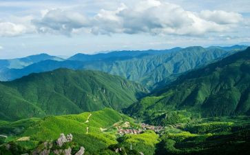 生命重泰山心得体会最新8篇
