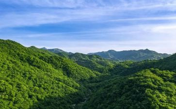 爬泰山的作文600字6篇
