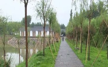 参观庵上湖村心得体会参考7篇