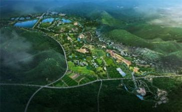 上栗文化调查报告6篇