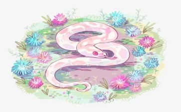 母鸡和蛇的教案优秀7篇