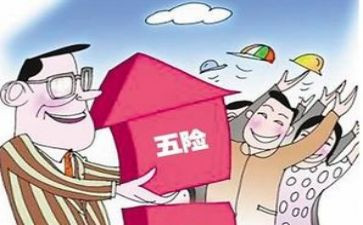 社保半年度工作总结8篇