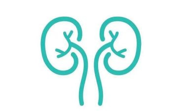 肾内科年终总结最新6篇