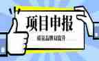 申报中一述职报告参考5篇