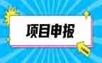 申报中一述职报告6篇