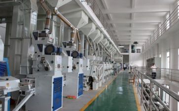 年安全生产工作计划参考8篇