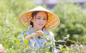 生活部工作总结优质7篇