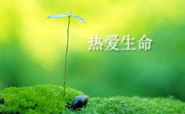 珍爱生命安全教育教案6篇