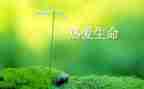 生命演讲稿800字5篇