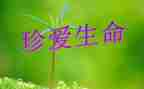 安全生命演讲稿优秀5篇