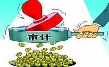 审计所学习心得体会5篇