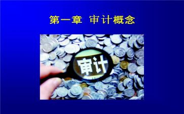 2024年审计工作述职报告8篇