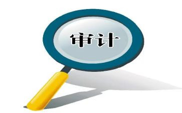 预审计工作总结参考5篇