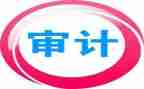 审计员年终工作总结优秀5篇