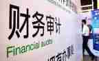 预审计工作总结推荐5篇