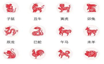 大班十二生肖教案8篇