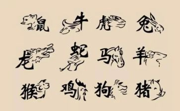 十二生肖教案7篇