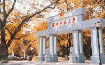 师范类实习总结报告6篇