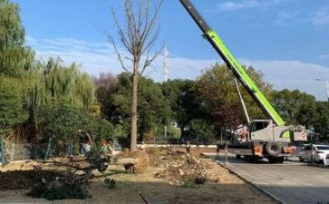 施工员实习自我鉴定7篇